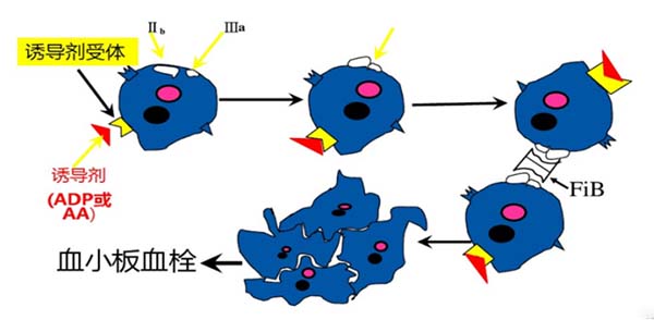 微信图片_20251010113130.jpg