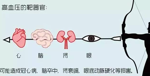 图片13.jpg