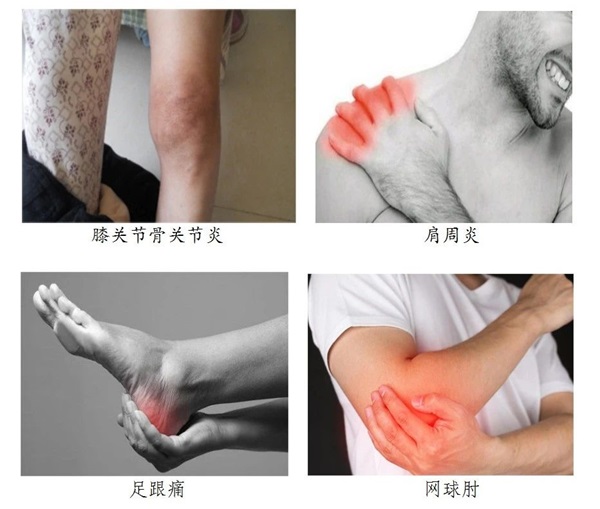 微信图片_20240606082423.jpg