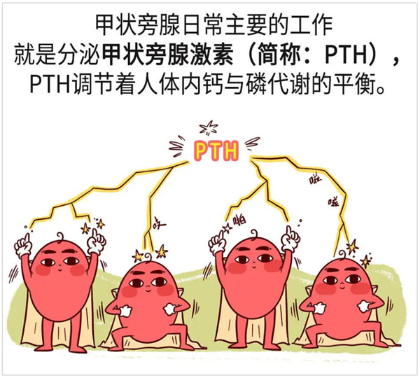 微信图片_20240617083241.png