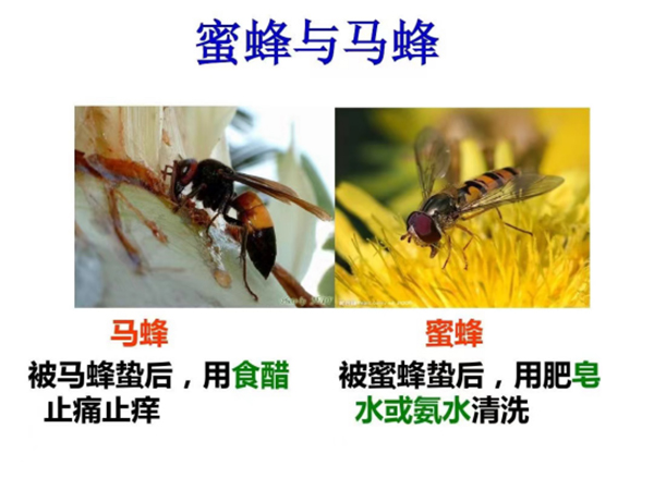 微信图片_20240722081012.jpg