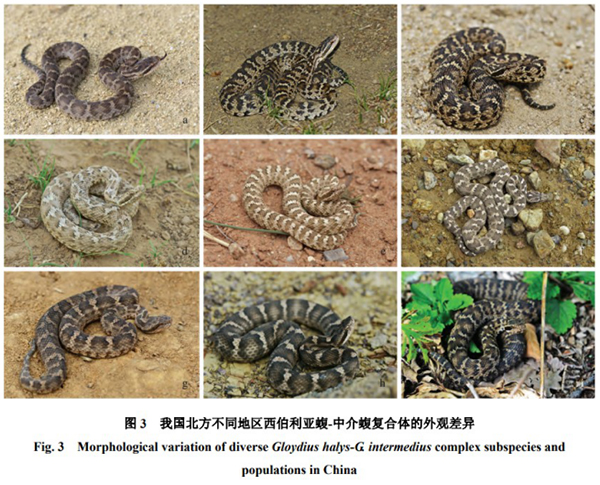 微信图片_20240820080358.jpg