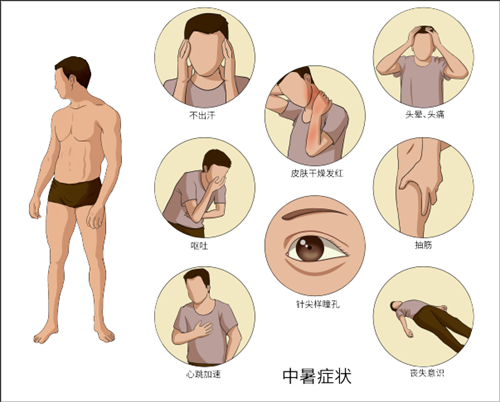 微信图片_20240826075741.png