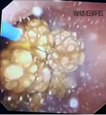 微信图片_20241209200836.jpg