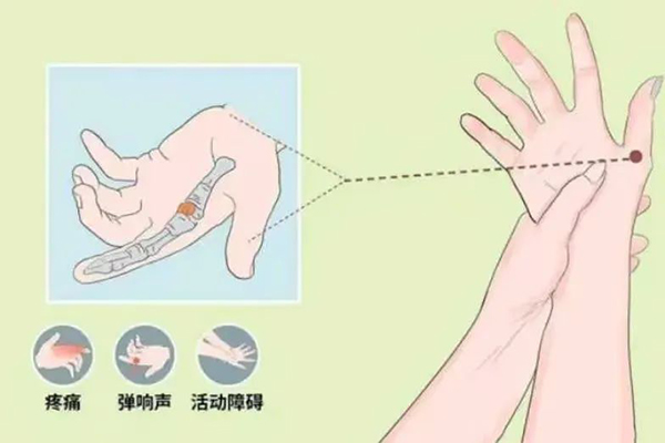 微信图片_20250205092309.jpg
