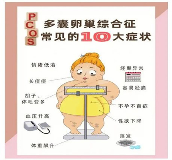 微信图片_20250212091245.jpg