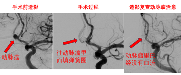 微信图片_20250316150852.jpg