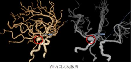 微信图片_2025-08-08_111732_057.png