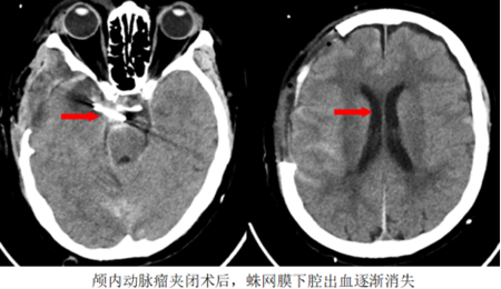 微信图片_2025-08-08_111733_483.png