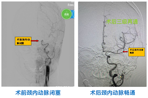 微信图片_2025-08-18_112538_647.jpg
