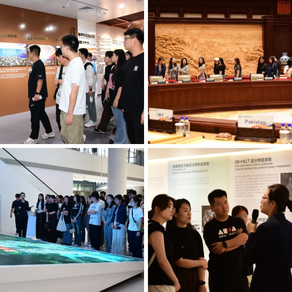 拼图.jpg