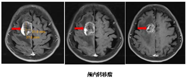 微信图片_20251023102052.jpg