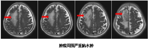 微信图片_20251023102104.jpg