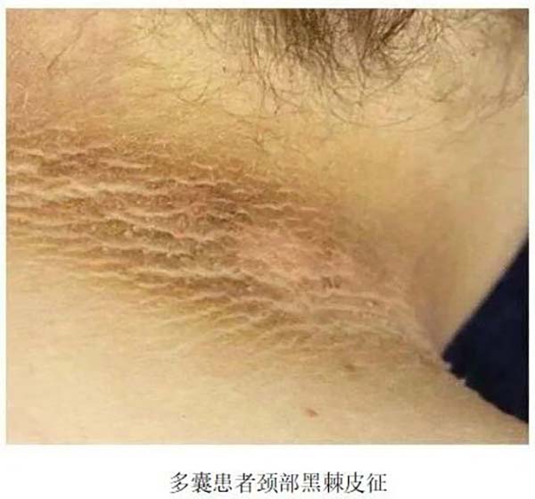微信图片_20251028092805.jpg 微信图片_20251028092805.jpg