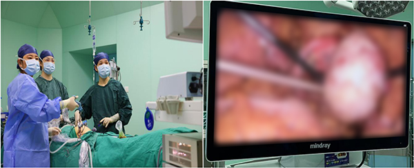 微信图片_20251104112250.jpg 微信图片_20251104112250.jpg