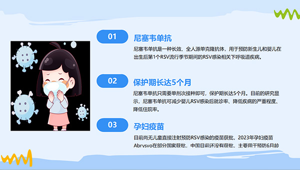 DM_20251113103506_033.jpg DM_20251113103506_033.jpg