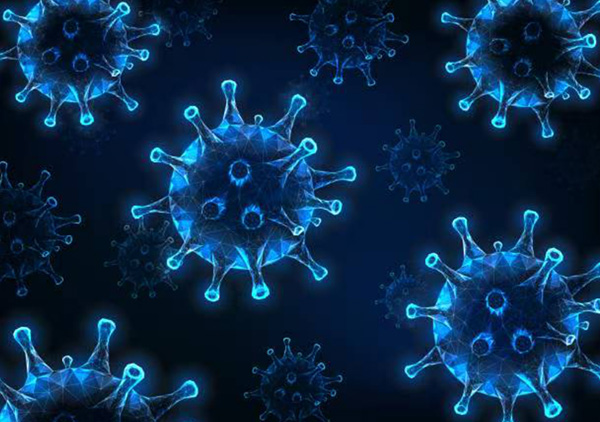 DM_20251114090620_001.jpg DM_20251114090620_001.jpg