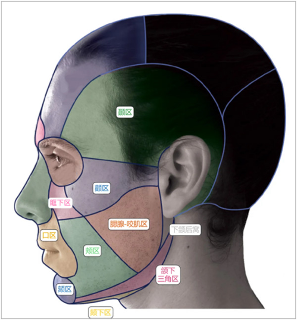 DM_20251119110400_003.jpg DM_20251119110400_003.jpg