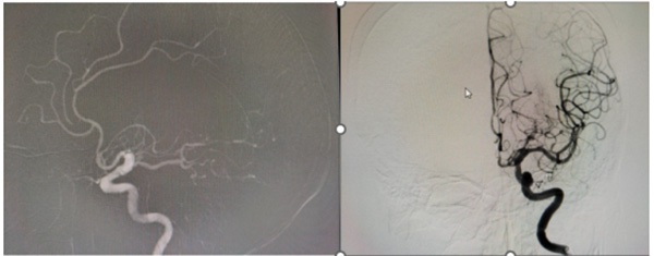 DM_20251124150629_001.jpg DM_20251124150629_001.jpg