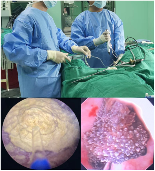 DM_20251126112015_007.jpg DM_20251126112015_007.jpg