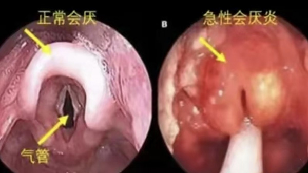 DM_20251126112148_002.jpg DM_20251126112148_002.jpg