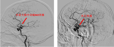 DM_20251205175510_002.jpg DM_20251205175510_002.jpg
