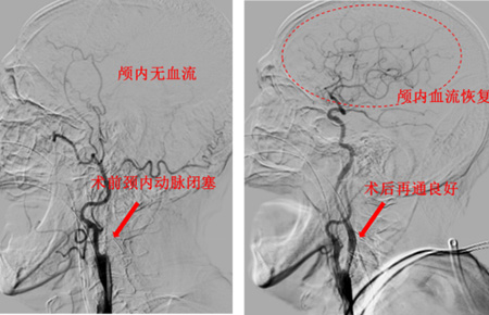 DM_20251205175510_003.jpg DM_20251205175510_003.jpg