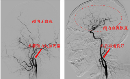 DM_20251205175510_004.jpg DM_20251205175510_004.jpg
