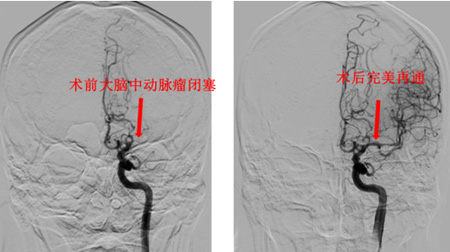 DM_20251205175510_005.jpg DM_20251205175510_005.jpg
