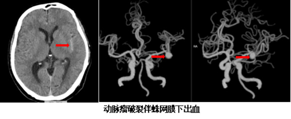 DM_20251212174350_001.jpg DM_20251212174350_001.jpg