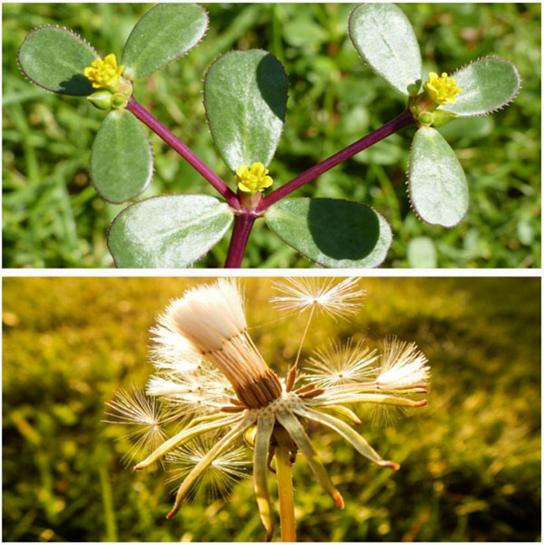 DM_20260324110806_001.jpg DM_20260324110806_001.jpg