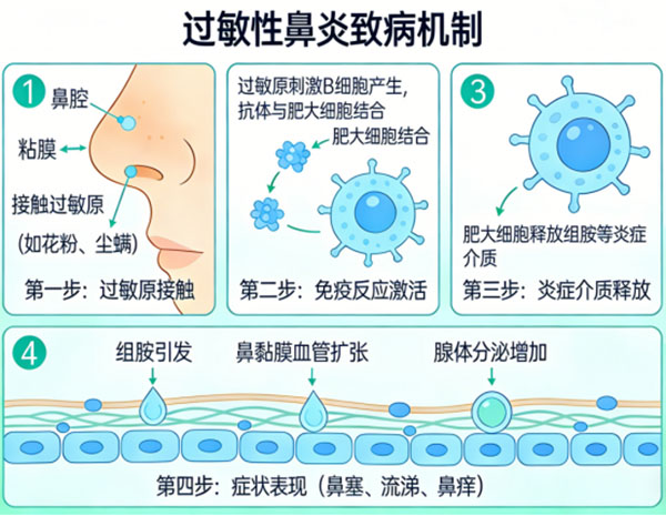 DM_20260326102430_002.jpg DM_20260326102430_002.jpg