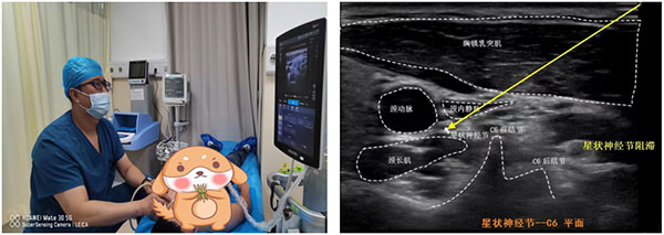 DM_20260408101535_004.jpg DM_20260408101535_004.jpg