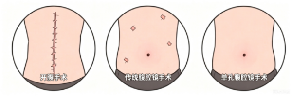 DM_20260511101229_002_副本.png