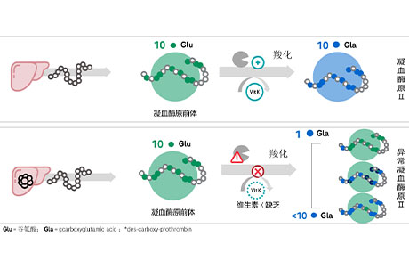 【医院动态】肝癌早筛添“新武器”!北京怀柔医院PIVKA-II检测项目上线