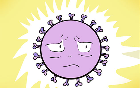 【健康科普】尼帕病毒的自述