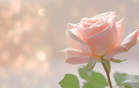 【怀医科普】致每一位女神：爱自己，从强韧“骨”气开始