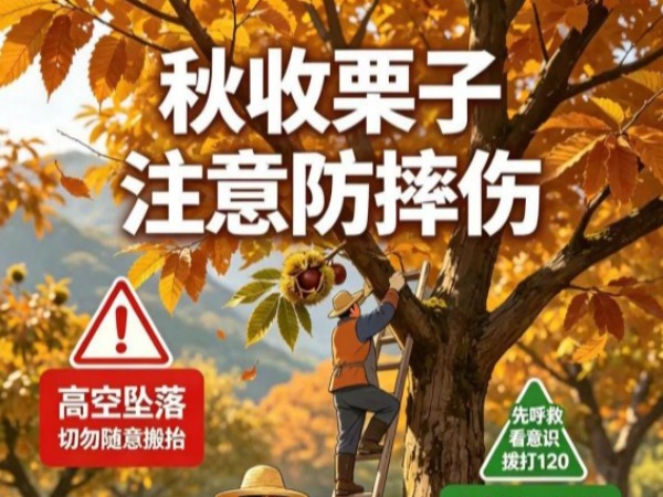 【怀医科普】秋收采摘谨防高空坠落伤 摔伤误随意搬抬伤者